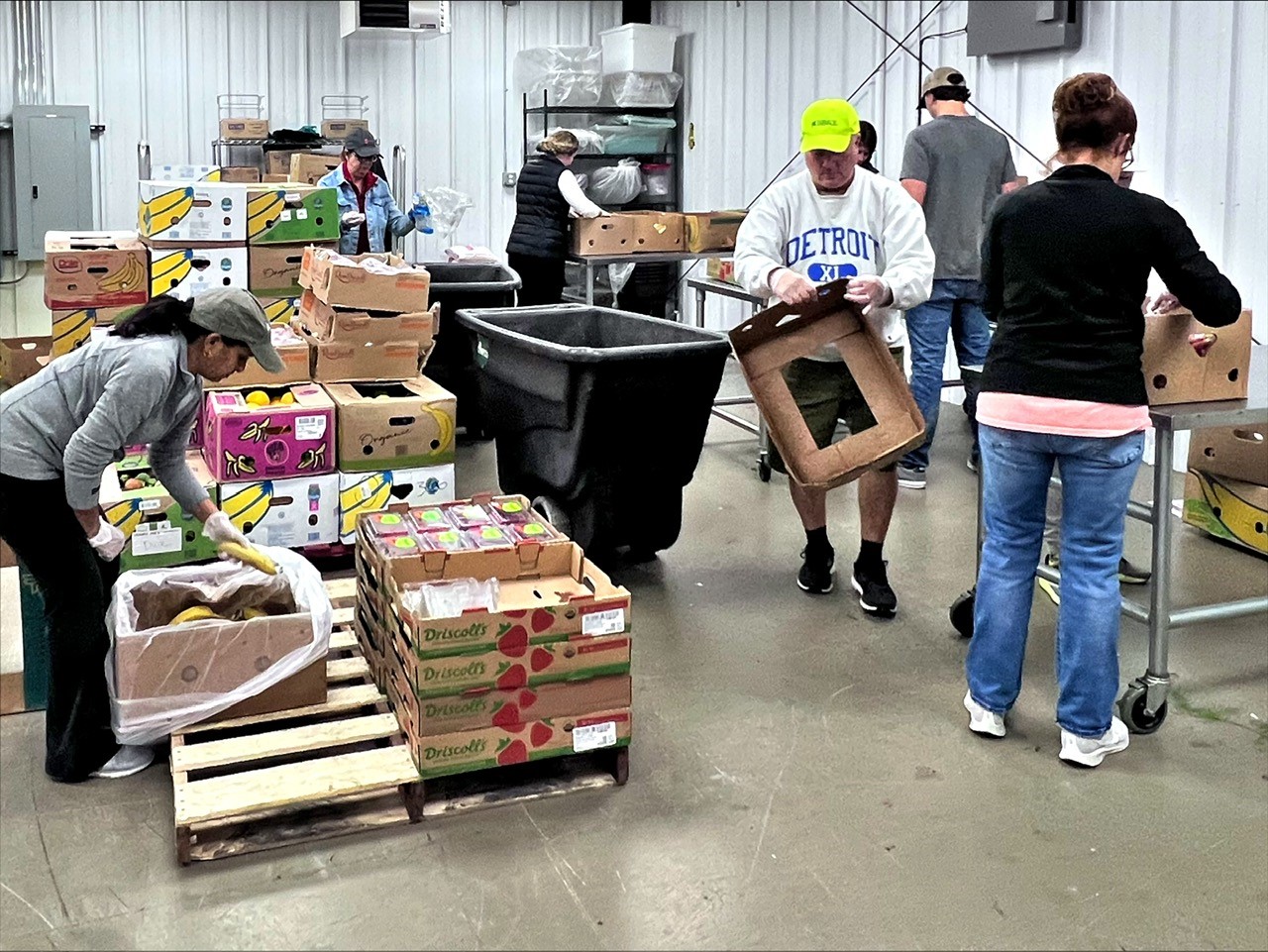 BB&E staff sorting food at Food Gatherers.